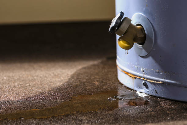 Best Water damage mitigation services  in Castlewood, VA