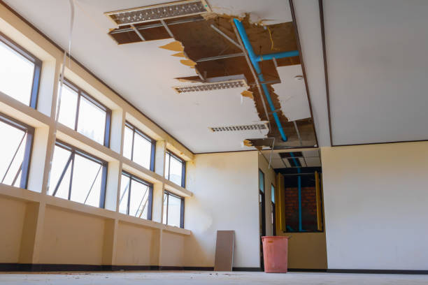 Best Commercial water damage restoration  in Castlewood, VA
