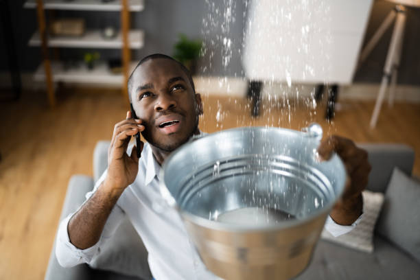 Best Water damage mitigation services  in Castlewood, VA