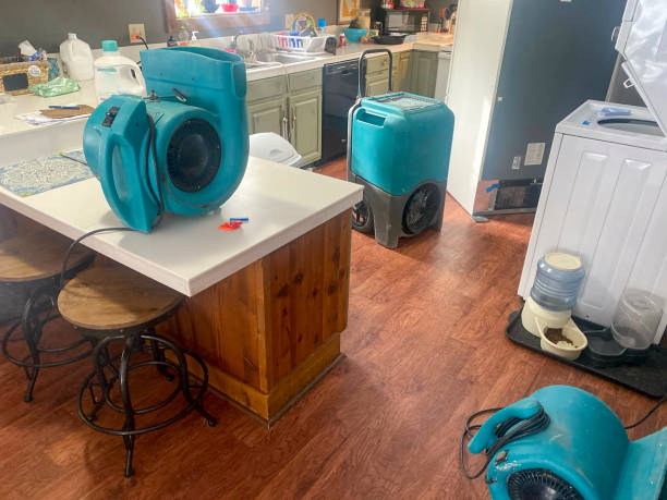 Best Water damage contractors near me  in Castlewood, VA