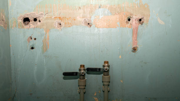 Best Water damage restoration insurance claims  in Castlewood, VA