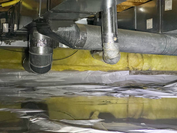 Best Water damage repair service  in Castlewood, VA