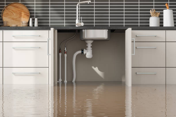 Best Flood restoration services  in Castlewood, VA